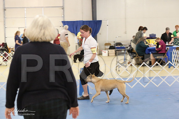 APBT-2158-LR