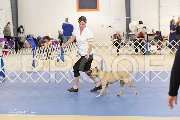 APBT-2161-LR