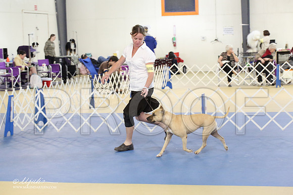 APBT-2162-LR