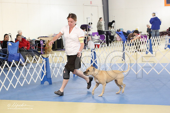 APBT-2166-LR