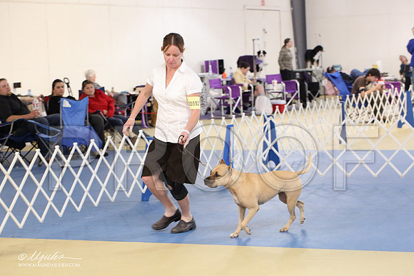 APBT-2167-LR