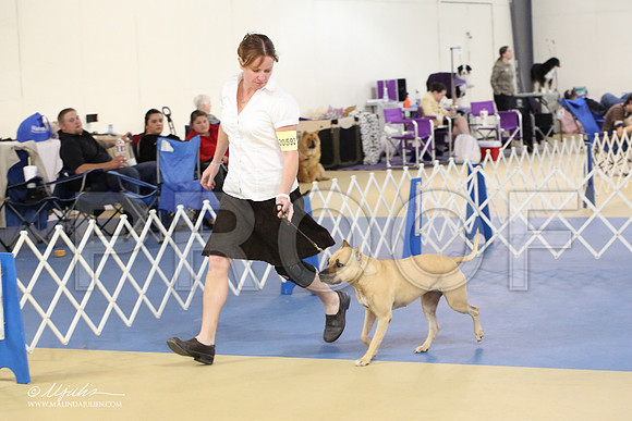 APBT-2168-LR