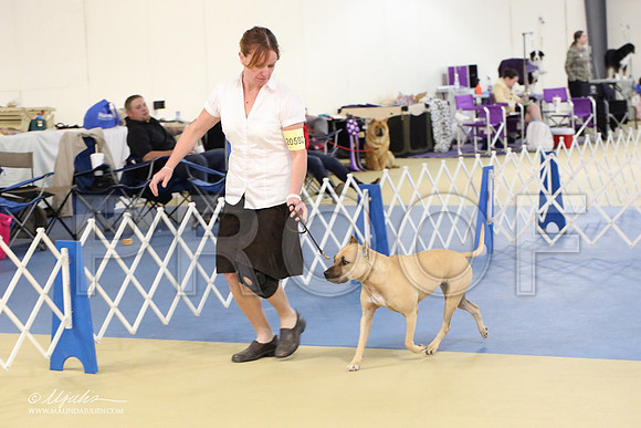 APBT-2169-LR