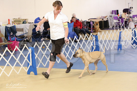 APBT-2170-LR