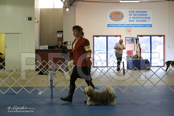 Lhasa-2817-LR