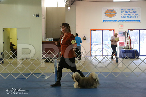 Lhasa-2818-LR