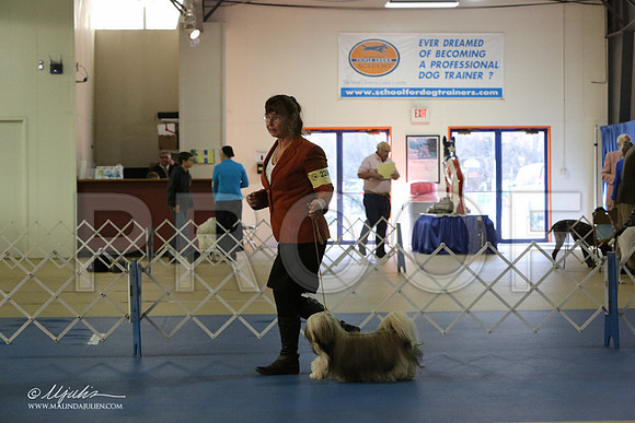 Lhasa-2816-LR