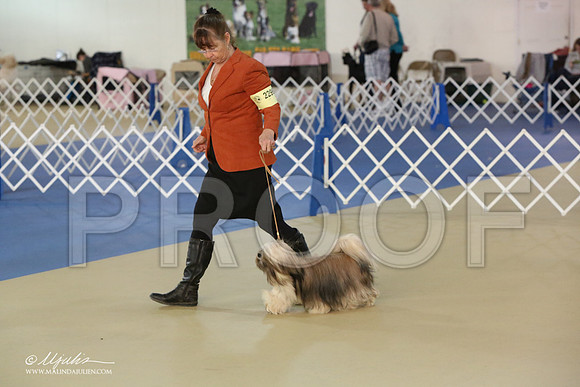 Lhasa-2825-LR