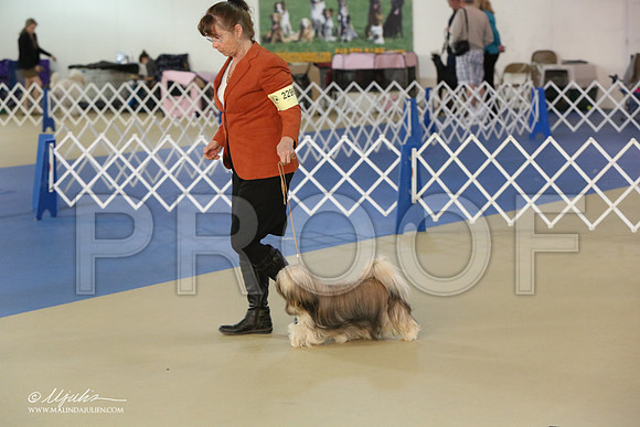 Lhasa-2826-LR