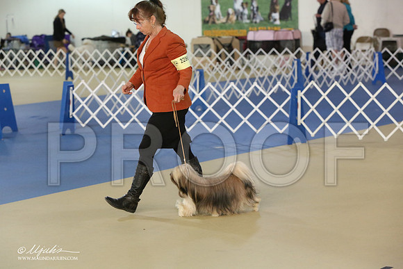 Lhasa-2827-LR