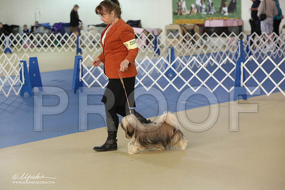 Lhasa-2828-LR