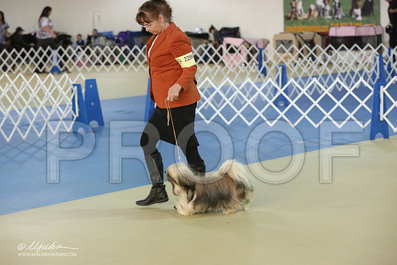 Lhasa-2829-LR