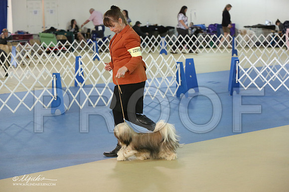 Lhasa-2833-LR