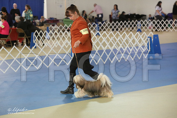 Lhasa-2835-LR