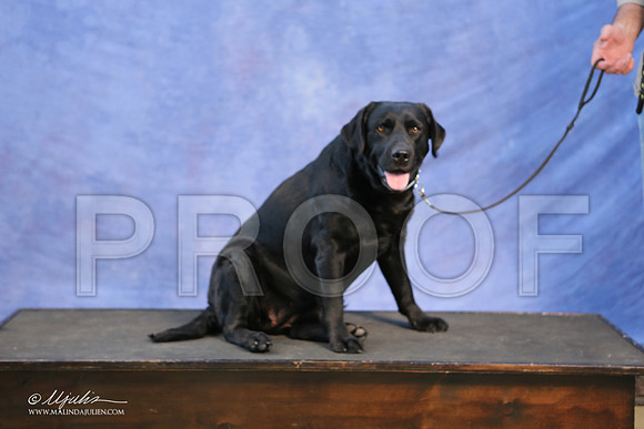 Lab-0002-LR