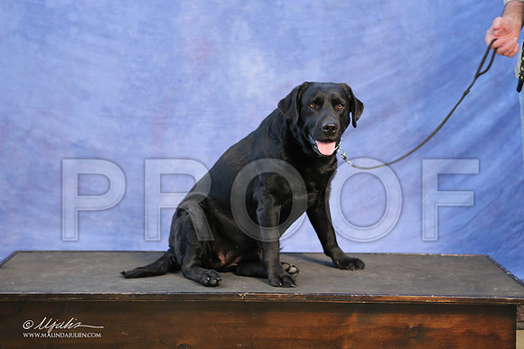 Lab-0004-LR