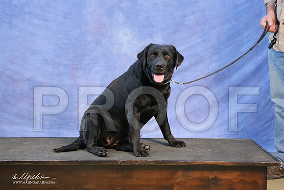 Lab-0008-LR