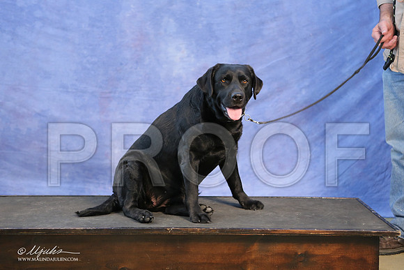 Lab-0007-LR