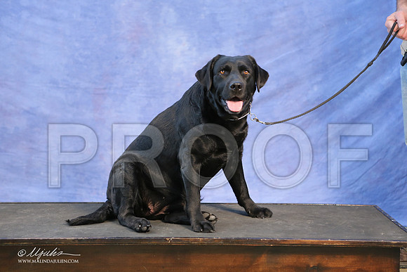Lab-0015-LR