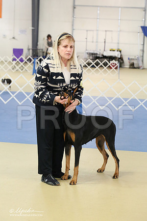 dobe-1627-LR