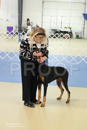 dobe-1628-LR