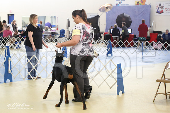 dobe-1631-LR