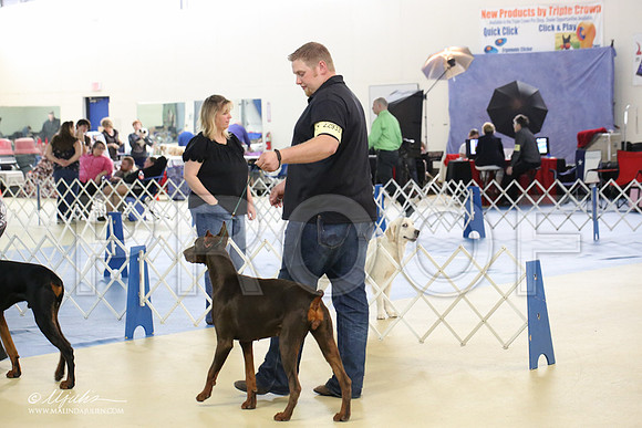 dobe-1632-LR
