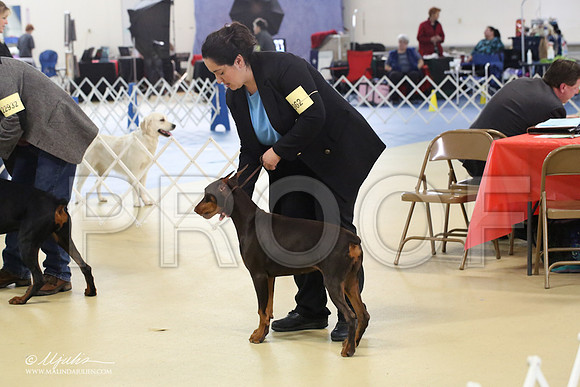 dobe-1634-LR