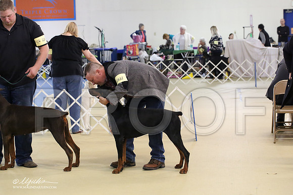 dobe-1636-LR
