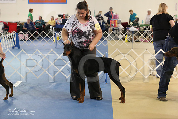 dobe-1639-LR