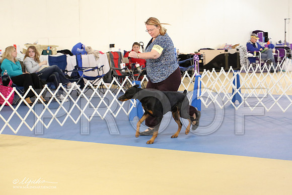 dobe-1645-LR