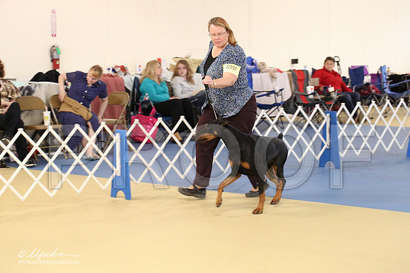 dobe-1648-LR