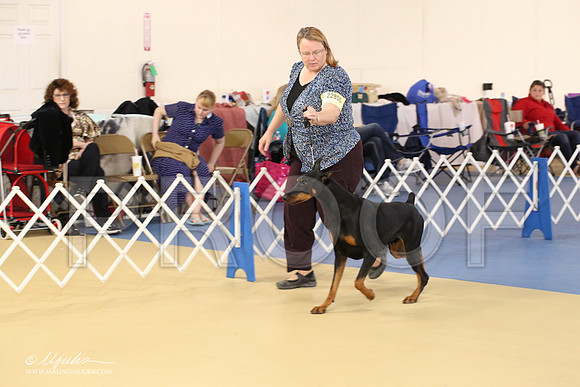 dobe-1649-LR