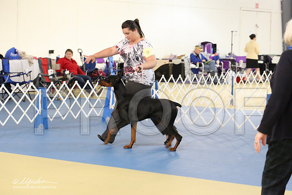 dobe-1650-LR