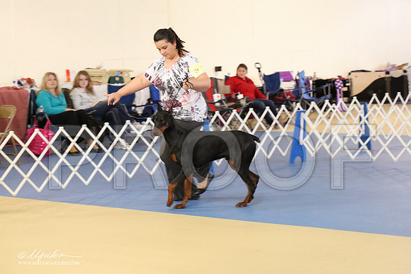 dobe-1653-LR