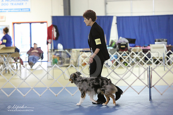 minaus-1812-LR