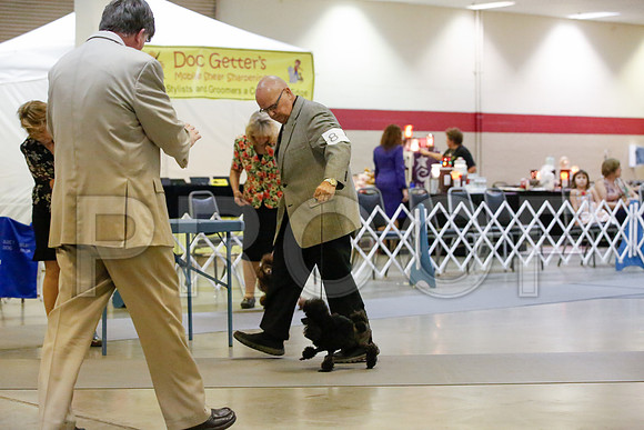 _JJ_1446-AmarilloSept2014-HR3