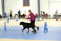 Rottweiler Ring LR IABCA Feb 2013