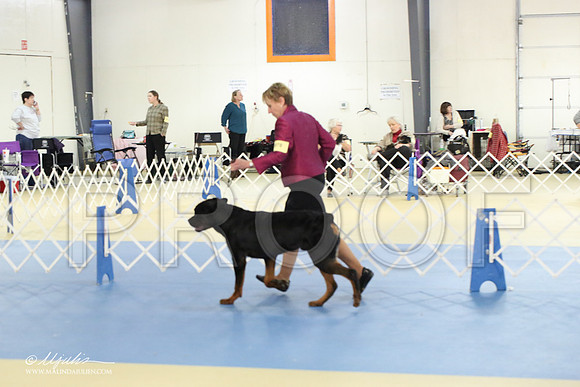 Rott-1767-LR