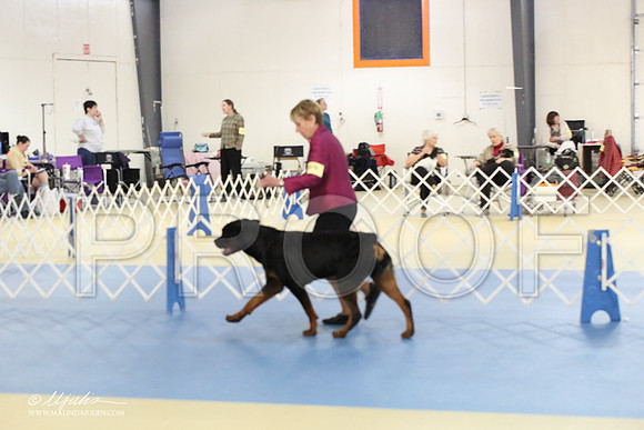 Rott-1768-LR