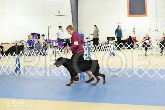 Rott-1770-LR