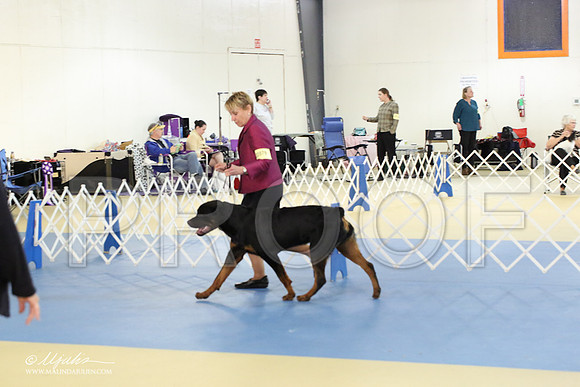 Rott-1771-LR