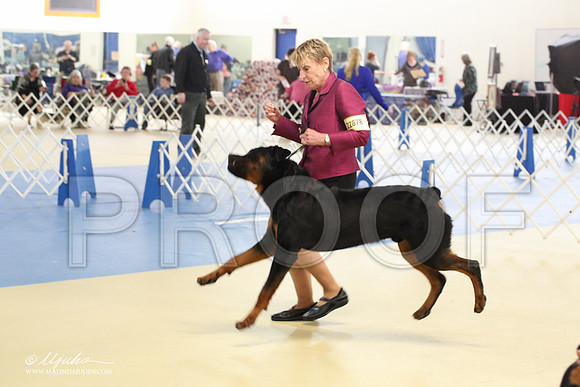 Rott-1792-LR