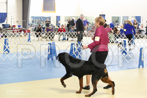 Rott-1794-LR