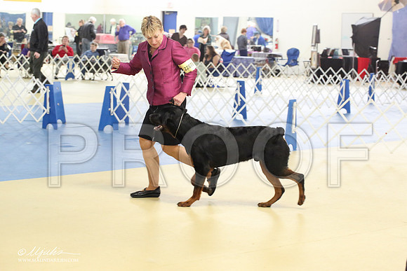Rott-1797-LR