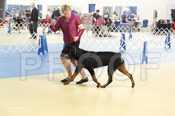 Rott-1798-LR