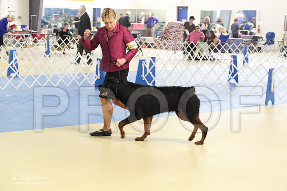 Rott-1799-LR