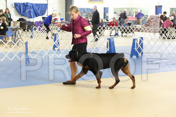 Rott-1801-LR