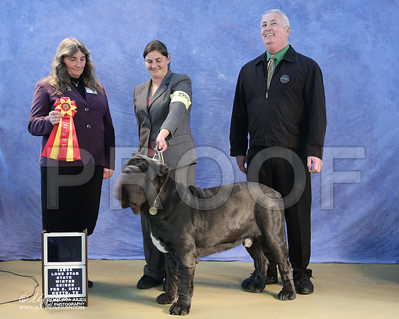 neo-9491-LR