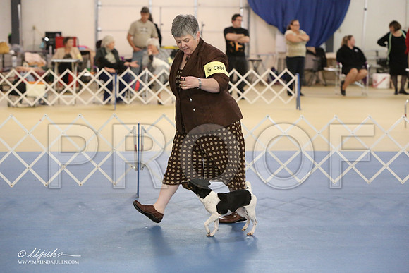 Rat-0661-LR